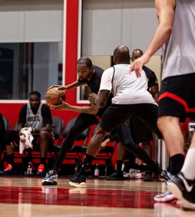 这两位强援, 已经成型